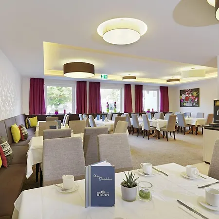 Hotel Stern 3*